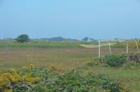 Rundfahrt entlang der Küste von Guernsey