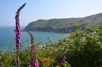Wanderung entlang der Nordküste Jerseys