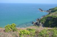 Wanderung entlang der Nordküste Jerseys