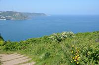 Wanderung entlang der Nordküste Jerseys