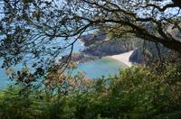 Wanderung entlang der Nordküste Jerseys