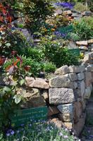 Niedliche Gartenanlage