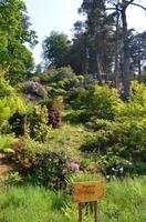 Gärten von Rozel Bay