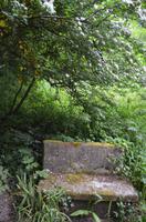 Waldpfad zu den Green Lanes