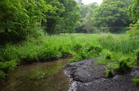 Wanderung zu den Green Lanes