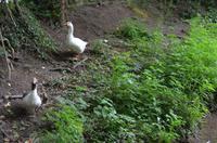 Wanderung zu den Green Lanes