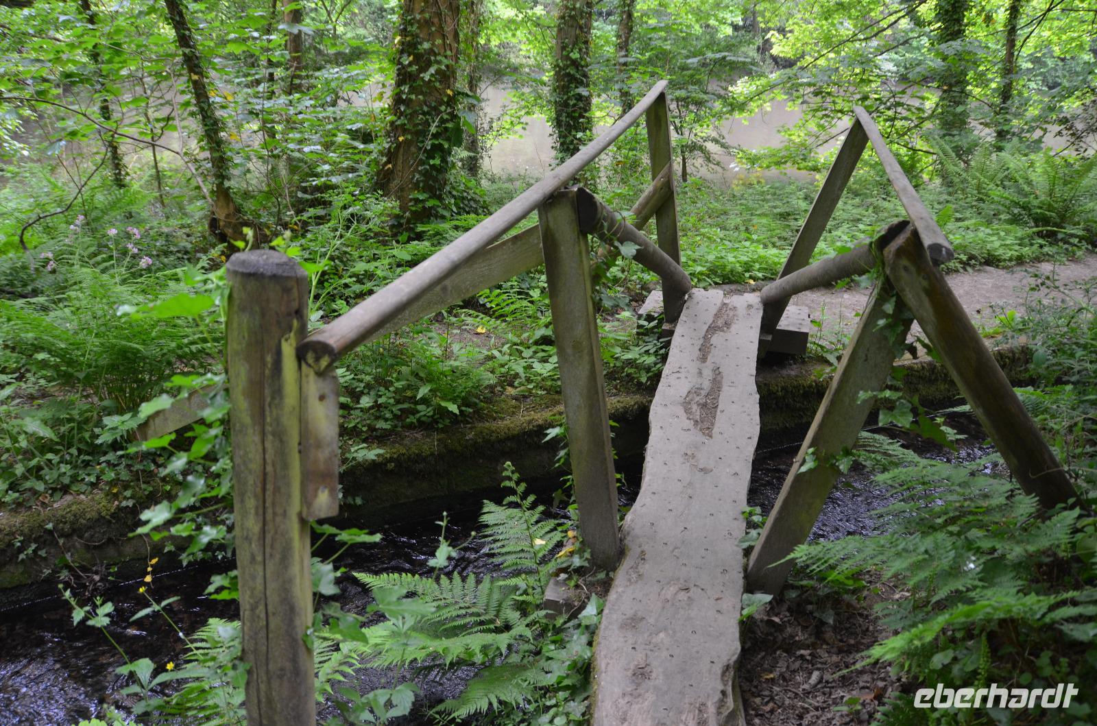Waldpfad zu den Green Lanes