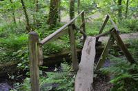 Waldpfad zu den Green Lanes