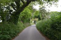 Wanderung entlang der Green Lanes