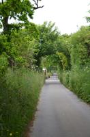 Wanderung entlang der Green Lanes