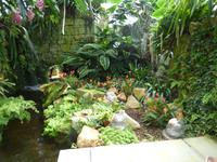 Eric Young Orchid Foundation