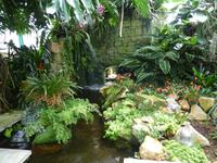 Eric Young Orchid Foundation