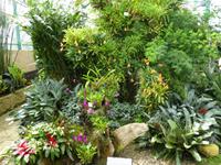 Eric Young Orchid Foundation