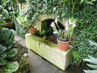 Eric Young Orchid Foundation