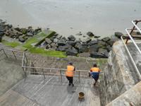 Arbeitende Arbeiter in Jersey