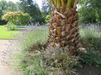 Privatgarten Mr. Miles