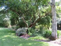 Privatgarten Mr. Miles