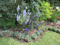 Privatgarten Mr. Miles