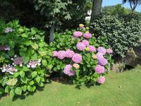 Privatgarten Mr. Miles