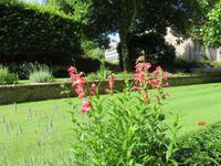 Privatgarten Mrs. Skinner