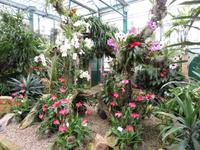 Eric Young Orchid Foundation