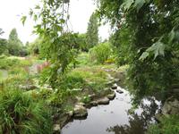 Botanischer Garten