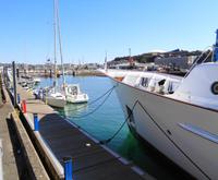 Jersey - Hafen 