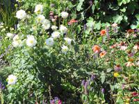 Sark - La Seigneurie 