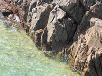 Jersey - Greve de Lecq Bay