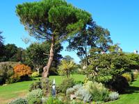 Jersey -  Privatgarten von Mrs. Lea 