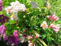 Jersey -  Privatgarten von Mrs. Skinner † 