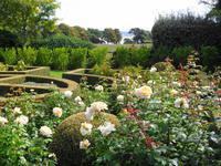 Jersey -  Privatgarten von Mrs. Skinner † 