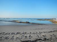 Insel Jersey - Gezeitenpool 