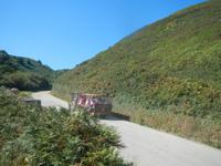 Insel Sark - Traktorfahrt