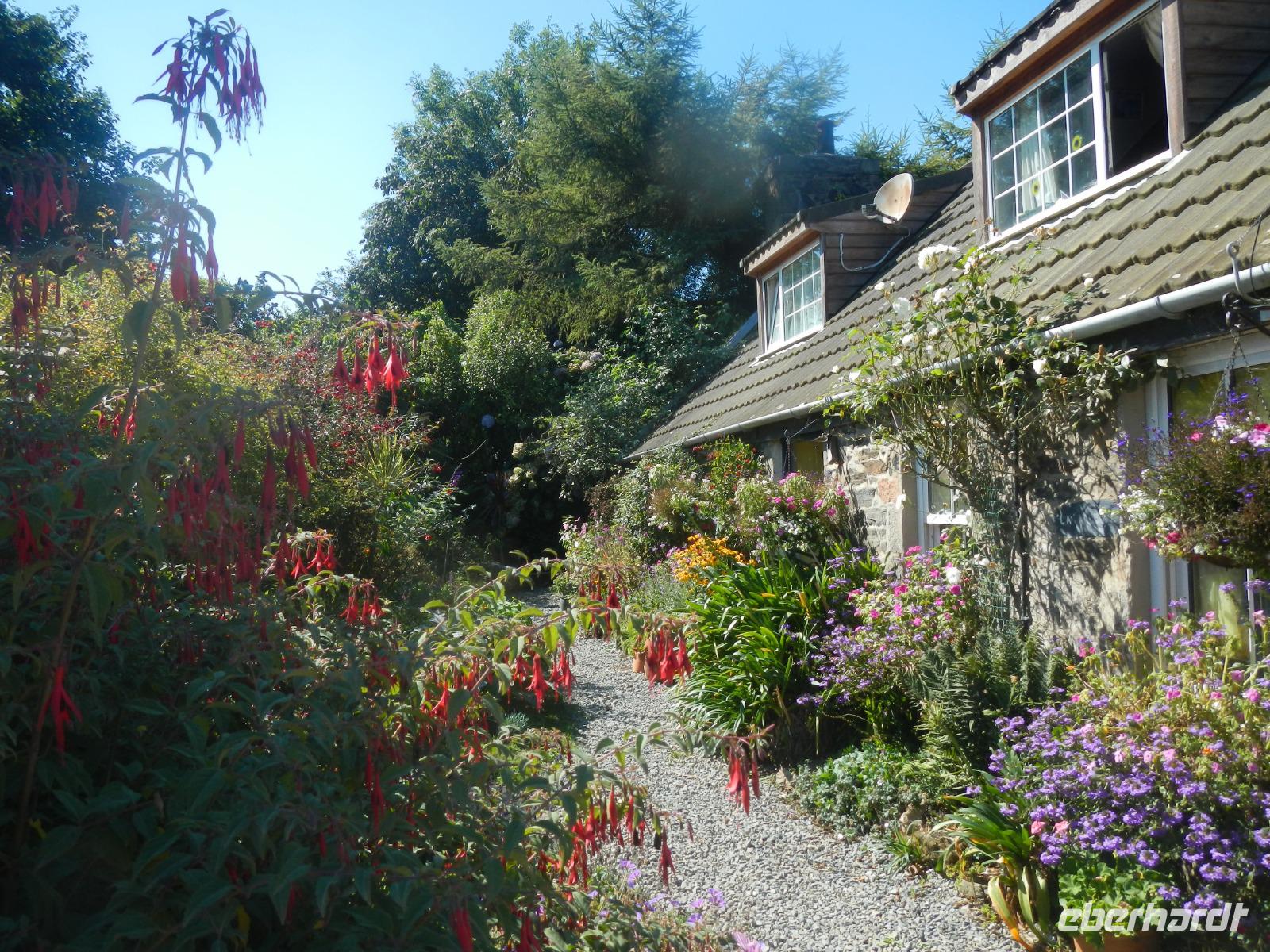 Insel Sark - Wohngebäude 