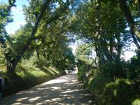 Insel Sark - Wanderweg