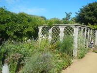 Insel Sark - Garten La Seigneurie 
