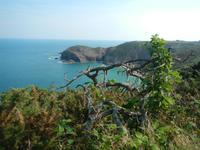 Insel Jersey - Küstenlinie im Norden