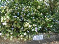 Insel Jersey - Küstenlinie im Norden