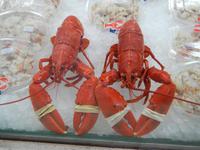 Insel Jersey - St. Helier