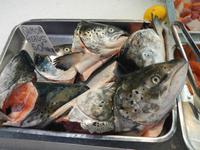 Insel Jersey - St. Helier