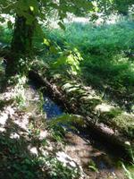 Insel Jersey - Wanderung Landesinneren