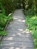 Insel Jersey - Wanderung Landesinneren