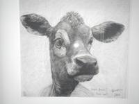 Insel Jersey - Hotel Ommaroo 