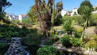Guernsey, Candle Gardens