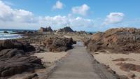 Jersey, Wanderung zum Corbier Leutturm bei Ebbe