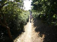 Sark, Küstenwanderung