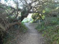 Sark, Wanderweg zum Hafen