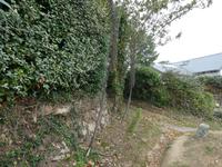 Guernsey, Küstenwanderung