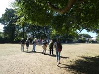 Guernsey, St. Peter Port, Candle Park